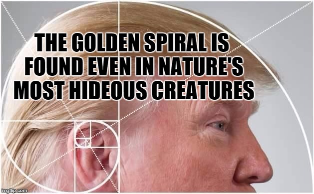 all of God's creatures are beautiful....if you look hard enough | THE GOLDEN SPIRAL IS FOUND EVEN IN NATURE'S MOST HIDEOUS CREATURES | image tagged in memes,meme,crotchgoblin,donald trump | made w/ Imgflip meme maker