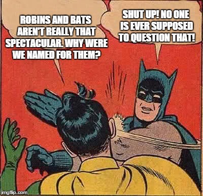 Batman Slapping Robin Meme | ROBINS AND BATS AREN'T REALLY THAT SPECTACULAR. WHY WERE WE NAMED FOR THEM? SHUT UP! NO ONE IS EVER SUPPOSED TO QUESTION THAT! | image tagged in memes,batman slapping robin | made w/ Imgflip meme maker