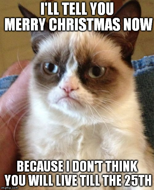 Grumpy Cat Meme | I'LL TELL YOU MERRY CHRISTMAS NOW BECAUSE I DON'T THINK YOU WILL LIVE TILL THE 25TH | image tagged in memes,grumpy cat | made w/ Imgflip meme maker