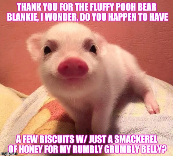 Piglet sans pooh | THANK YOU FOR THE FLUFFY POOH BEAR BLANKIE, I WONDER, DO YOU HAPPEN TO HAVE A FEW BISCUITS W/ JUST A SMACKEREL OF HONEY FOR MY RUMBLY GRUMBL | image tagged in piglet,meme,i'm cute | made w/ Imgflip meme maker