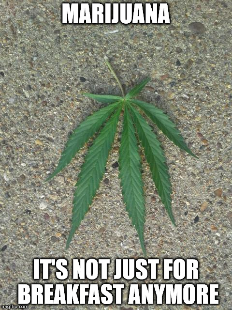 MARIJUANA IT'S NOT JUST FOR BREAKFAST ANYMORE | image tagged in leaf | made w/ Imgflip meme maker