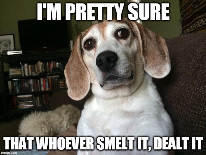 don't blame the dog | I'M PRETTY SURE THAT WHOEVER SMELT IT, DEALT IT | image tagged in dogs,farts,funny dogs | made w/ Imgflip meme maker