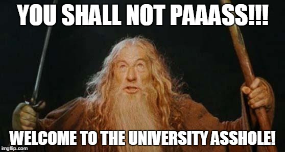 YOU SHALL NOT PAAASS!!! | YOU SHALL NOT PAAASS!!! WELCOME TO THE UNIVERSITY ASSHOLE! | image tagged in gandalf,you shall not pass,you shall not,gandalf you shall not pass | made w/ Imgflip meme maker