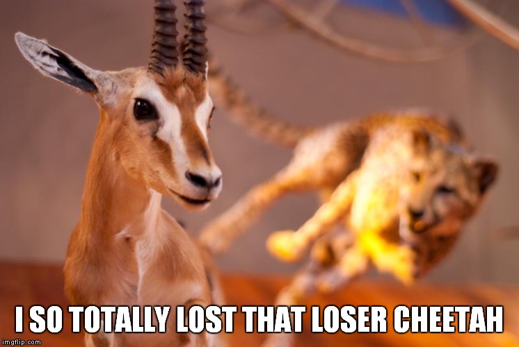I SO TOTALLY LOST THAT LOSER CHEETAH | made w/ Imgflip meme maker