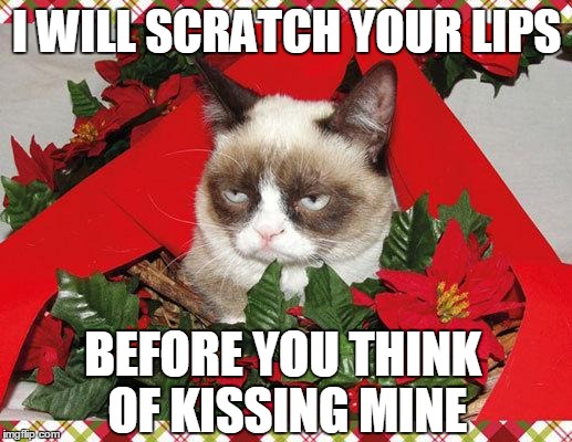 I Will scratch your nose under the Mistletoe. | I WILL SCRATCH YOUR LIPS BEFORE YOU THINK OF KISSING MINE | image tagged in memes,grumpy cat mistletoe,grumpy cat | made w/ Imgflip meme maker