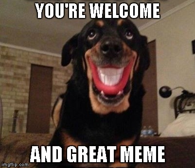 YOU'RE WELCOME AND GREAT MEME | made w/ Imgflip meme maker