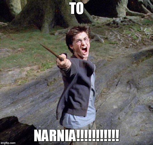 Harry potter | TO NARNIA!!!!!!!!!!! | image tagged in harry potter | made w/ Imgflip meme maker