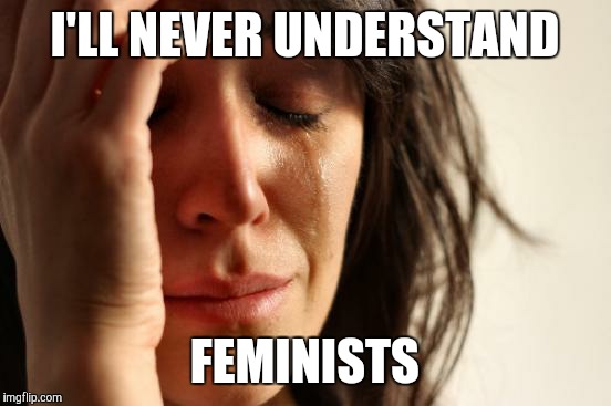 First World Problems Meme | I'LL NEVER UNDERSTAND FEMINISTS | image tagged in memes,first world problems | made w/ Imgflip meme maker