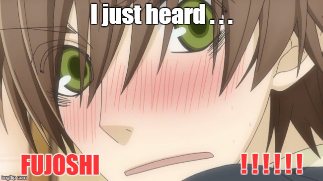 I just heard . . . FUJOSHI ! ! ! ! ! ! | image tagged in onodera ritsu | made w/ Imgflip meme maker