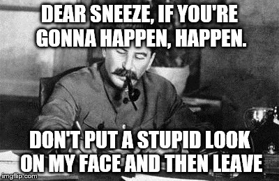 Dear diary | DEAR SNEEZE, IF YOU'RE GONNA HAPPEN, HAPPEN. DON'T PUT A STUPID LOOK ON MY FACE AND THEN LEAVE | image tagged in dear diary | made w/ Imgflip meme maker
