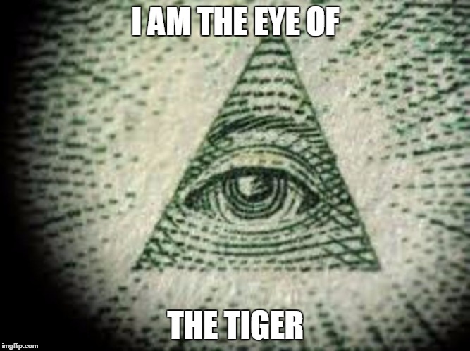 The eye of the tiger | I AM THE EYE OF THE TIGER | image tagged in iluminati,first world problems,cute,funny | made w/ Imgflip meme maker