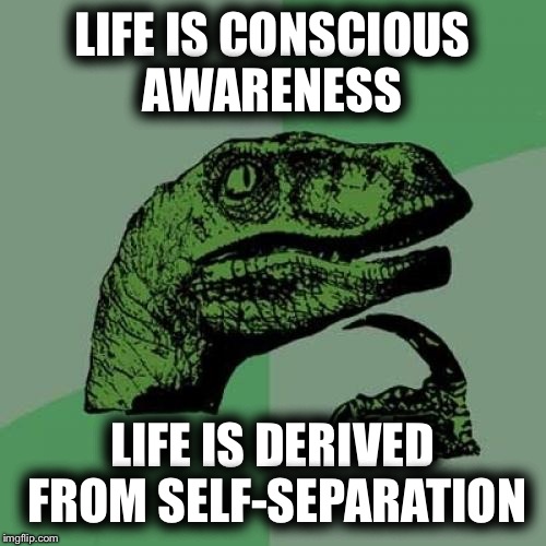 The Meaning Of Life | LIFE IS CONSCIOUS AWARENESS LIFE IS DERIVED FROM SELF-SEPARATION | image tagged in memes,philosoraptor,jesus,politics,god | made w/ Imgflip meme maker