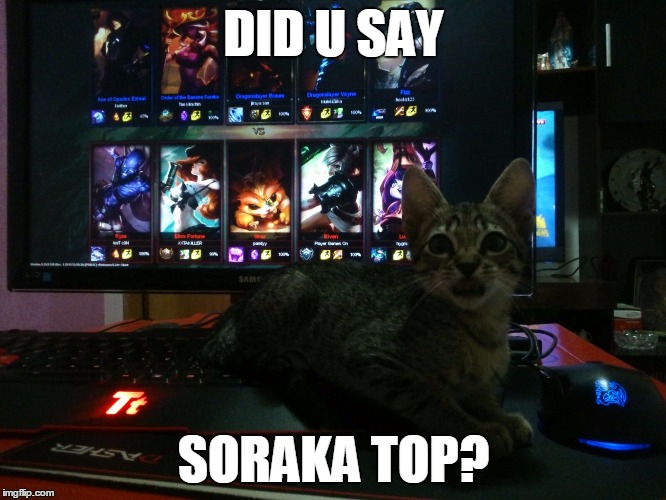 DID U SAY SORAKA TOP? | DID U SAY SORAKA TOP? | image tagged in league of legends,soraka,top,cat,lol | made w/ Imgflip meme maker