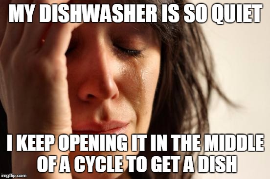 First World Problems | MY DISHWASHER IS SO QUIET I KEEP OPENING IT IN THE MIDDLE OF A CYCLE TO GET A DISH | image tagged in memes,first world problems,AdviceAnimals | made w/ Imgflip meme maker