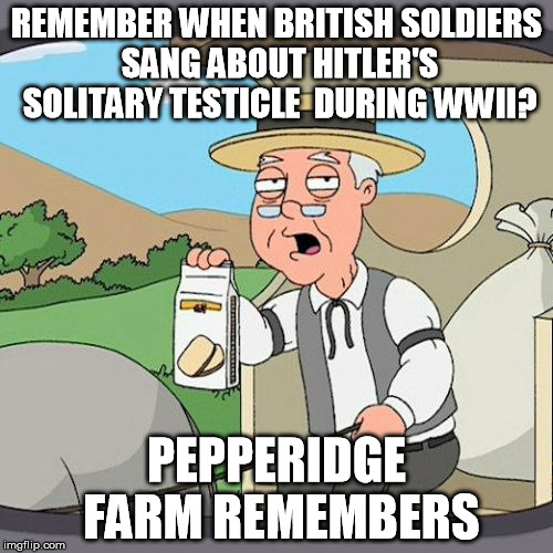 Pepperidge Farm Remembers Meme | REMEMBER WHEN BRITISH SOLDIERS SANG ABOUT HITLER'S SOLITARY TESTICLE  DURING WWII? PEPPERIDGE FARM REMEMBERS | image tagged in memes,pepperidge farm remembers | made w/ Imgflip meme maker