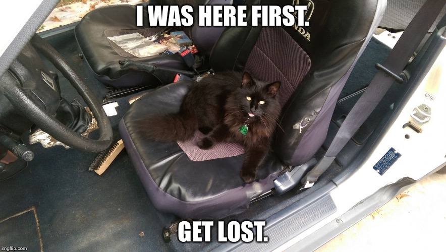 I WAS HERE FIRST. GET LOST. | image tagged in stowaway | made w/ Imgflip meme maker