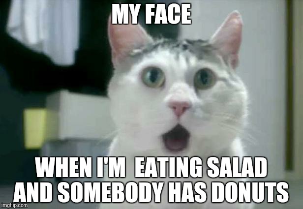 OMG Cat Meme | MY FACE WHEN I'M  EATING SALAD AND SOMEBODY HAS DONUTS | image tagged in memes,omg cat | made w/ Imgflip meme maker