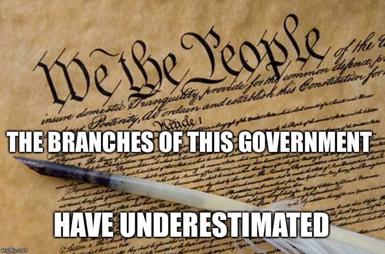 We The People | THE BRANCHES OF THIS GOVERNMENT HAVE UNDERESTIMATED | image tagged in constitution,america,united states,god bless america,memes,government,PoliticalHumor | made w/ Imgflip meme maker