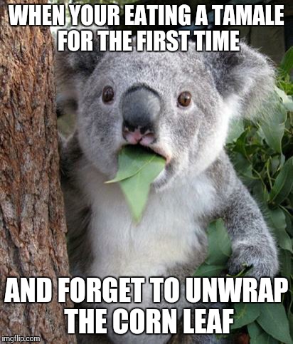 WTF Koala | WHEN YOUR EATING A TAMALE FOR THE FIRST TIME AND FORGET TO UNWRAP THE CORN LEAF | image tagged in wtf koala | made w/ Imgflip meme maker