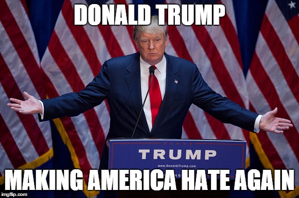 Donald Trump | DONALD TRUMP MAKING AMERICA HATE AGAIN | image tagged in donald trump | made w/ Imgflip meme maker