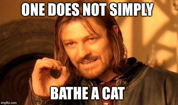 I didn't know cats can get that vicious  | ONE DOES NOT SIMPLY BATHE A CAT | image tagged in memes,one does not simply,cat | made w/ Imgflip meme maker