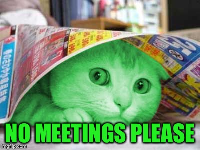 RayCat Scared | NO MEETINGS PLEASE | image tagged in raycat scared | made w/ Imgflip meme maker