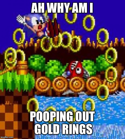 Desonic Murray | AH WHY AM I POOPING OUT GOLD RINGS | image tagged in desonic murray | made w/ Imgflip meme maker