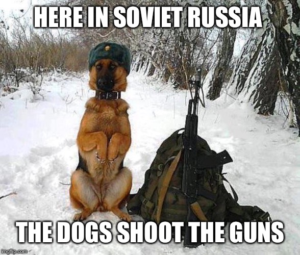 HERE IN SOVIET RUSSIA THE DOGS SHOOT THE GUNS | image tagged in dogs | made w/ Imgflip meme maker