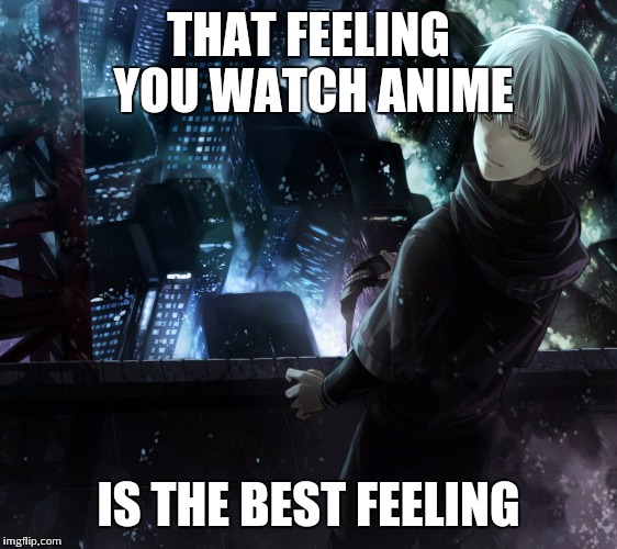 THAT FEELING YOU WATCH ANIME IS THE BEST FEELING | image tagged in that feelings | made w/ Imgflip meme maker