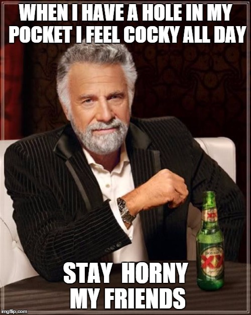 The Most Interesting Man In The World | WHEN I HAVE A HOLE IN MY POCKET I FEEL COCKY ALL DAY STAY  HORNY MY FRIENDS | image tagged in memes,the most interesting man in the world | made w/ Imgflip meme maker