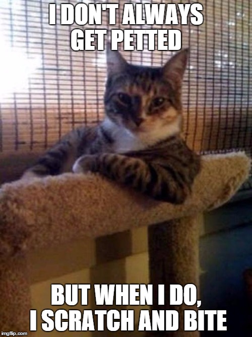 The Most Interesting Cat In The World Meme | I DON'T ALWAYS GET PETTED BUT WHEN I DO, I SCRATCH AND BITE | image tagged in memes,the most interesting cat in the world | made w/ Imgflip meme maker