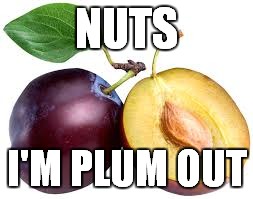 NUTS I'M PLUM OUT | made w/ Imgflip meme maker