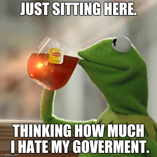 But That's None Of My Business | JUST SITTING HERE. THINKING HOW MUCH I HATE MY GOVERMENT. | image tagged in memes,but thats none of my business,kermit the frog | made w/ Imgflip meme maker
