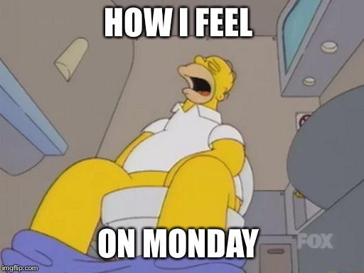 homer simpson toilet | HOW I FEEL ON MONDAY | image tagged in homer simpson toilet | made w/ Imgflip meme maker
