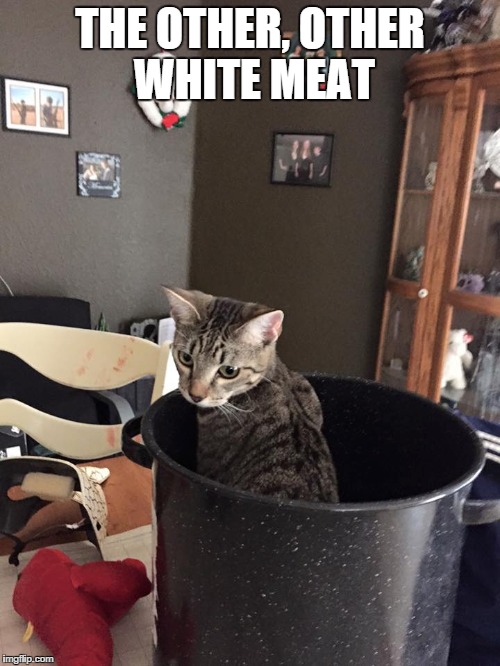 what's for dinner | THE OTHER, OTHER WHITE MEAT | image tagged in cat,white meat | made w/ Imgflip meme maker