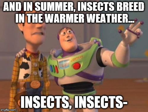 X, X Everywhere Meme | AND IN SUMMER, INSECTS BREED IN THE WARMER WEATHER... INSECTS, INSECTS- | image tagged in memes,x x everywhere | made w/ Imgflip meme maker