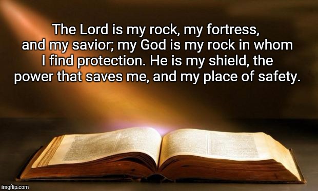 Bible  | The Lord is my rock, my fortress, and my savior; my God is my rock in whom I find protection. He is my shield, the power that saves me, and  | image tagged in bible  | made w/ Imgflip meme maker