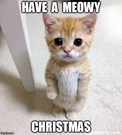 Cute Cat | HAVE  A  MEOWY CHRISTMAS | image tagged in memes,cute cat | made w/ Imgflip meme maker