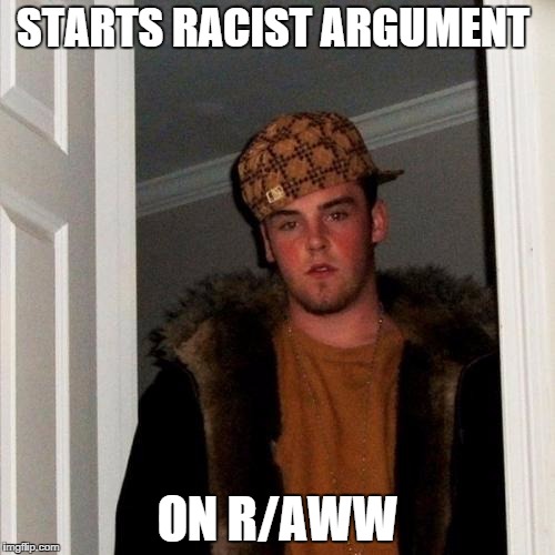 Scumbag Steve | STARTS RACIST ARGUMENT ON R/AWW | image tagged in memes,scumbag steve,AdviceAnimals | made w/ Imgflip meme maker