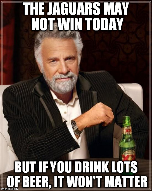 The Most Interesting Man In The World Meme | THE JAGUARS MAY NOT WIN TODAY BUT IF YOU DRINK LOTS OF BEER, IT WON'T MATTER | image tagged in memes,the most interesting man in the world | made w/ Imgflip meme maker