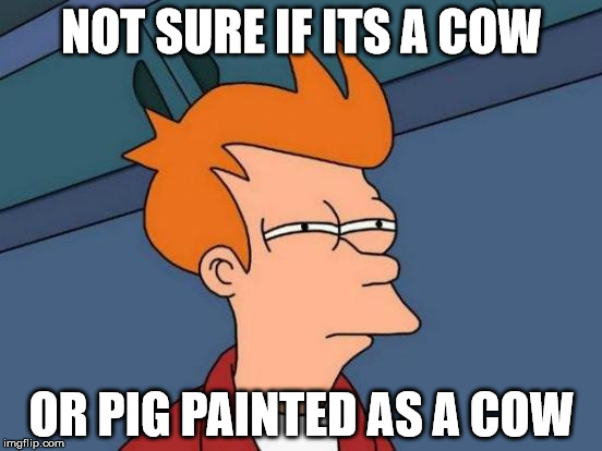 Futurama Fry | NOT SURE IF ITS A COW OR PIG PAINTED AS A COW | image tagged in memes,futurama fry | made w/ Imgflip meme maker