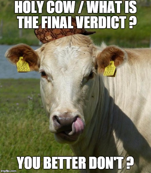 HOLY COW / WHAT IS THE FINAL VERDICT ? YOU BETTER DON'T ? | image tagged in scumbag | made w/ Imgflip meme maker