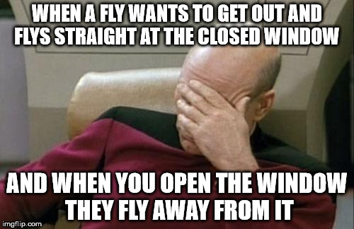 Captain Picard Facepalm | WHEN A FLY WANTS TO GET OUT AND FLYS STRAIGHT AT THE CLOSED WINDOW AND WHEN YOU OPEN THE WINDOW THEY FLY AWAY FROM IT | image tagged in memes,captain picard facepalm | made w/ Imgflip meme maker
