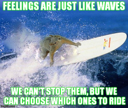 Shred through life! | FEELINGS ARE JUST LIKE WAVES WE CAN'T STOP THEM, BUT WE CAN CHOOSE WHICH ONES TO RIDE | image tagged in surfing,squirrel,feelings | made w/ Imgflip meme maker