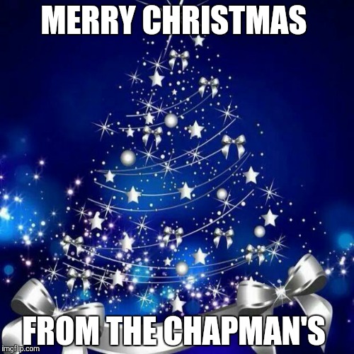 Merry Christmas  | MERRY CHRISTMAS FROM THE CHAPMAN'S | image tagged in merry christmas  | made w/ Imgflip meme maker