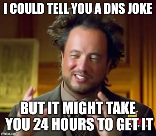 Ancient Aliens | I COULD TELL YOU A DNS JOKE BUT IT MIGHT TAKE YOU 24 HOURS TO GET IT | image tagged in memes,ancient aliens | made w/ Imgflip meme maker