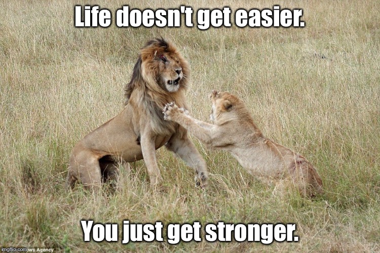 Life doesn't get easier. You just get stronger. | image tagged in strength | made w/ Imgflip meme maker