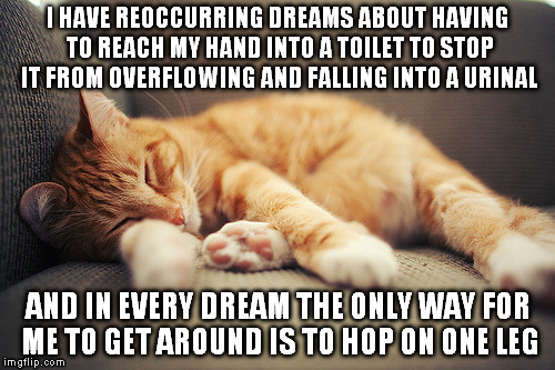 sleeping orange cat | I HAVE REOCCURRING DREAMSABOUT HAVING TO REACH MY HAND INTO A TOILET TO STOP IT FROM OVERFLOWING AND FALLING INTO A URINAL AND IN EVERY DRE | image tagged in sleeping orange cat | made w/ Imgflip meme maker