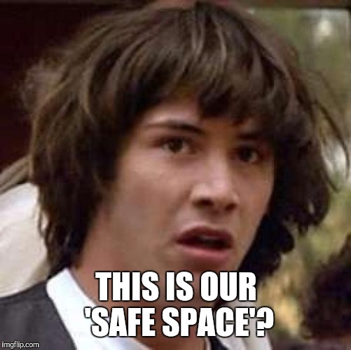 Conspiracy Keanu Meme | THIS IS OUR 'SAFE SPACE'? | image tagged in memes,conspiracy keanu | made w/ Imgflip meme maker