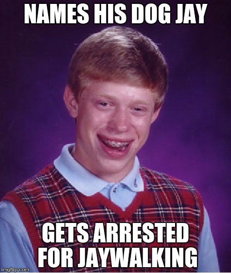 Walk ma doggeh. | NAMES HIS DOG JAY GETS ARRESTED FOR JAYWALKING | image tagged in memes,bad luck brian | made w/ Imgflip meme maker
